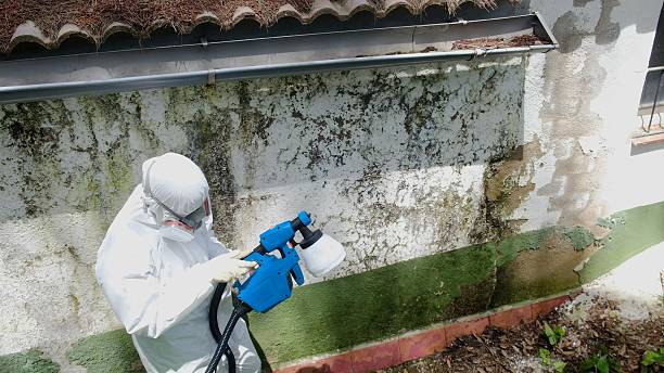 Top rated local Mold Remediation specialists in Far Hills, NJ